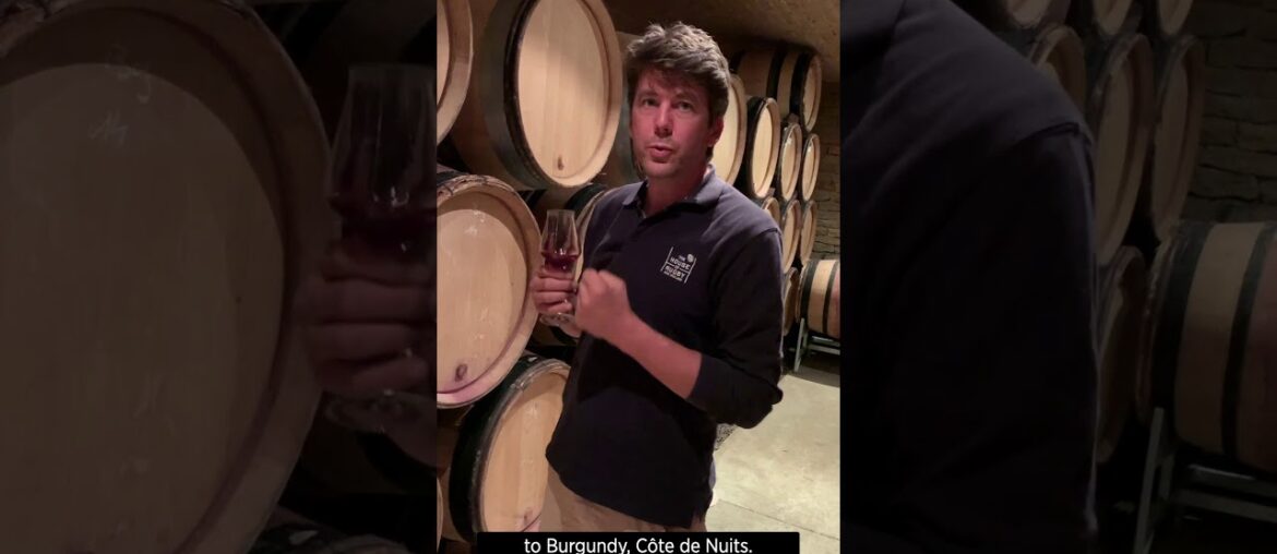 Domaine Arlaud - Bourgogne Rouge 'Roncevie'