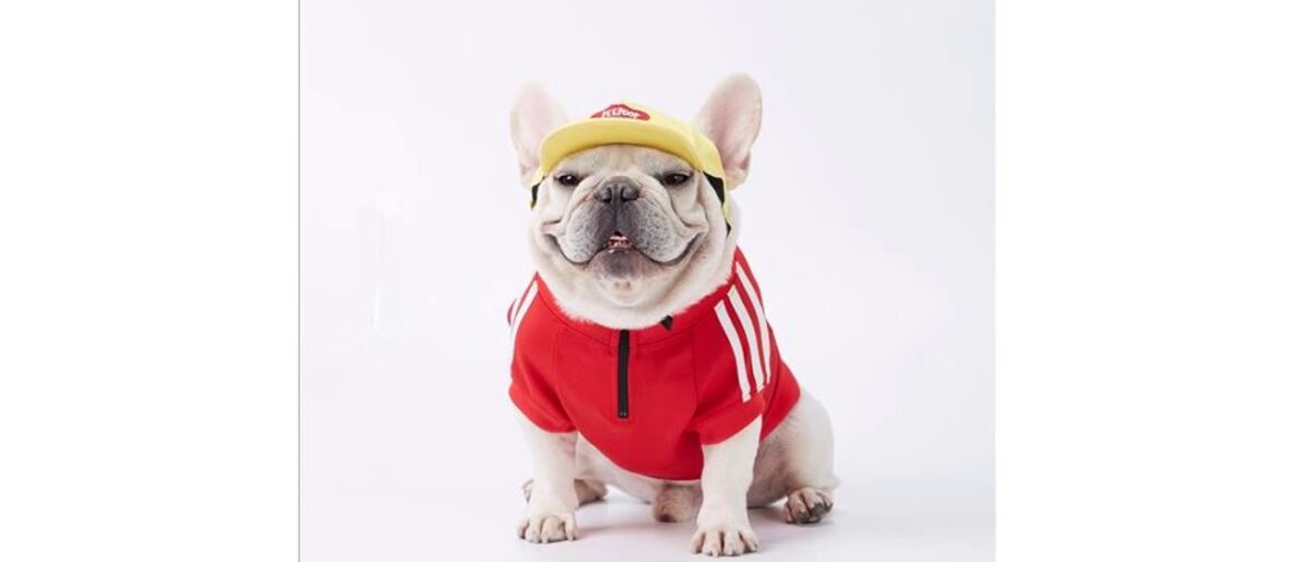 Slide Fashion Clothes For Pet Dogs Hoodies For Puppy New Jumpsuits French Bulldog Fat Dog Clothes S Slide Fashion Clothes For Pet Dogs Hoodies For Puppy New Jumpsuits French Bulldog Fat Dog Clothes S