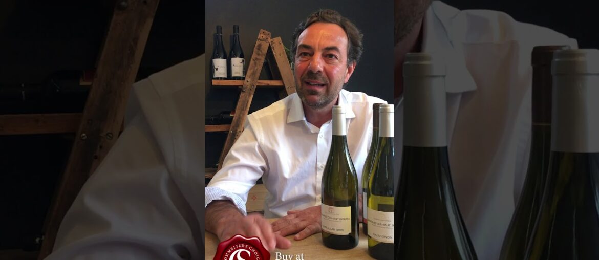 Domaine du Haut Bourg - Great French Wines