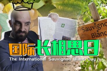 All you need to know about Sauvignon Blanc and its wines!