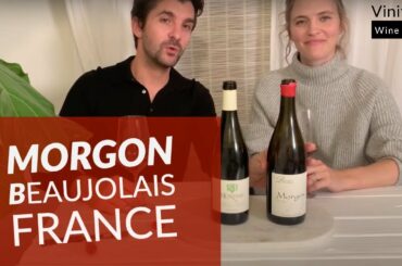 Gamay Morgon wine tasting notes - wine tasting: gamay from Domaine Bulliat in Morgon