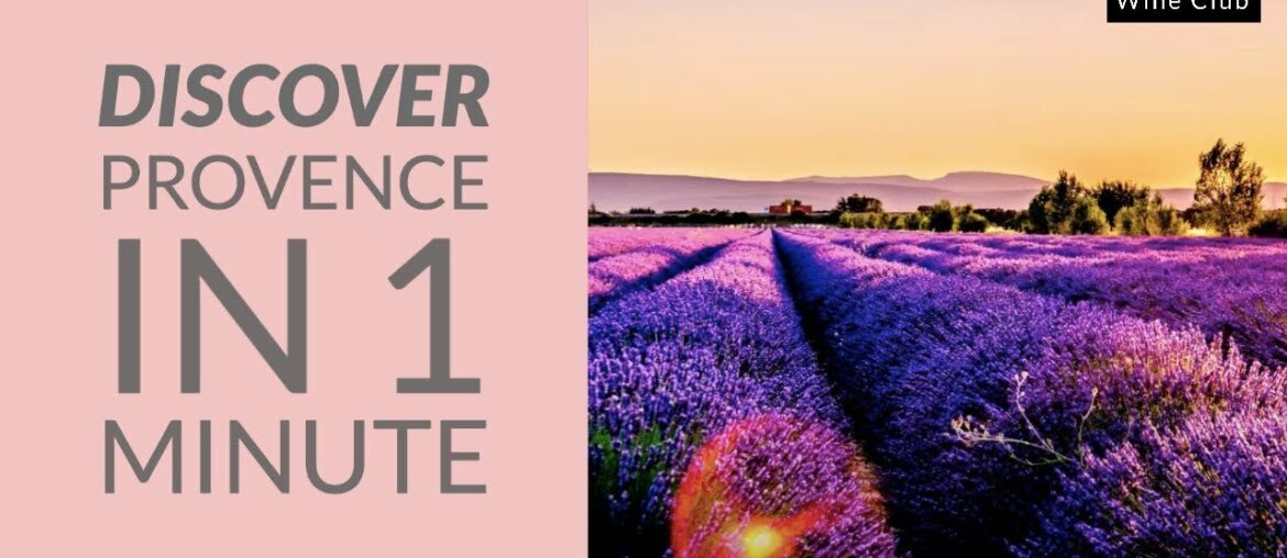 What are Provence Rose Wines? Cote de Provence Rose Wines Explained