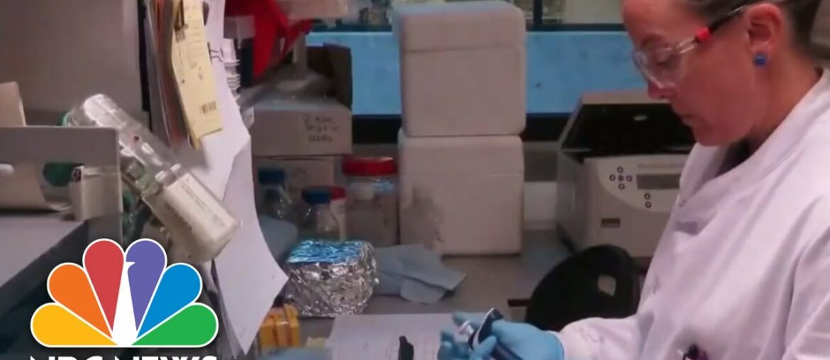 Watch Full Coronavirus Coverage – April 29 | NBC News Now (Live Stream) Watch Full Coronavirus Coverage - April 29 | NBC News Now (Live Stream)