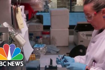 Watch Full Coronavirus Coverage - April 29 | NBC News Now (Live Stream)