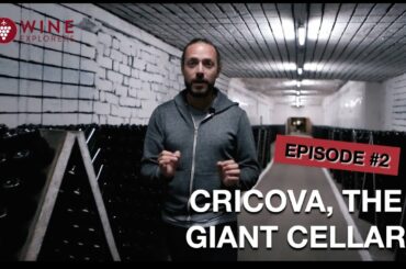 CRICOVA, THE GIANT WINE CELLAR | WINE EXPLORERS