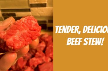 Yes Please - We made a SUPER RICH, BEEF BOURGUIGNON!