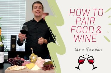 How to pair food and wine like a sommelier - 10 minute Tutorial | Mr.wineOwine |