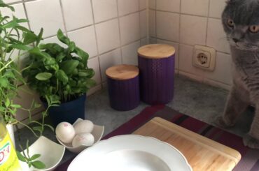 Easy French TOAST recipe 😋 -food world