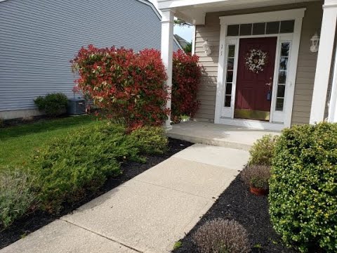 11 Gimball Drive, Little Egg Harbor 11 Gimball Drive, Little Egg Harbor