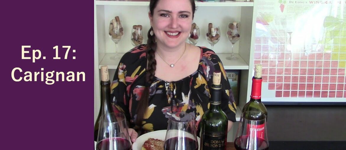 Wine Folly Challenge: Carignan Wine Folly Challenge: Carignan