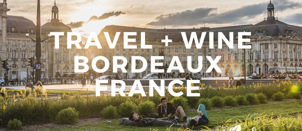 Discovering Bordeaux wine and region (travel guide) 🍷