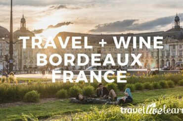 Discovering Bordeaux wine and region (travel guide) 🍷