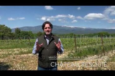 Domaine Pesquie Introduction