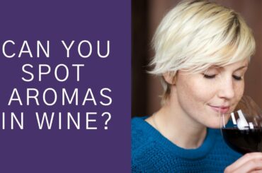 Can you spot aromas wine?