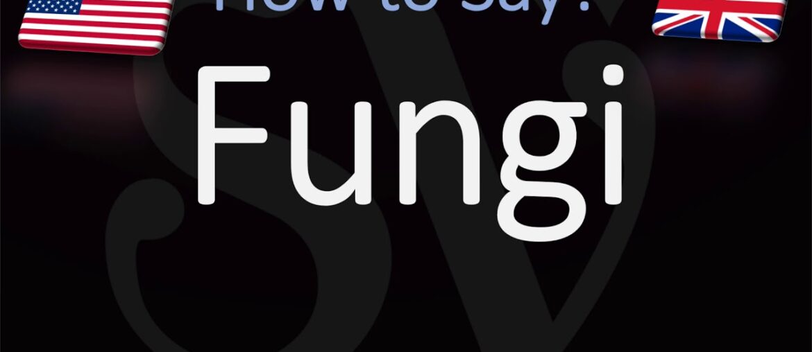 How to Pronounce Fungi? (CORRECTLY) How to Pronounce Fungi? (CORRECTLY)
