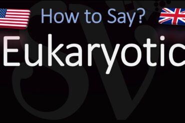 How to Pronounce Eukaryotic? (CORRECTLY)