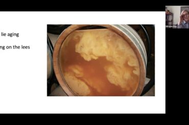 Sip with a Somm At-Home Tasting Club: Wines of the Loire Valley