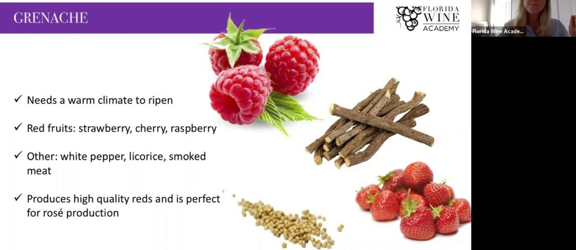 Aromas of red grapes Webinar Aromas of red grapes Webinar