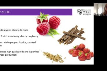 Aromas of red grapes Webinar