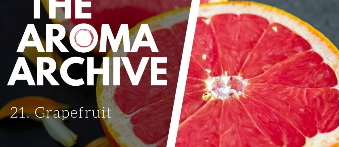The Smell of GRAPEFRUIT in Wine – The Aroma Archive Ep21 – Grapefruit The Smell of GRAPEFRUIT in Wine - The Aroma Archive Ep21 - Grapefruit