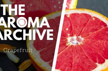 The Smell of GRAPEFRUIT in Wine - The Aroma Archive Ep21 - Grapefruit