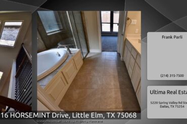1216 HORSEMINT Drive, Little Elm, TX 75068