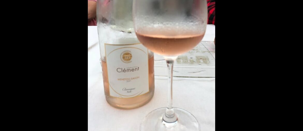 Vineyard Chat with Anne Clement of Domaine Chatenoy in Menetou-Salon in the Loire Valley, France