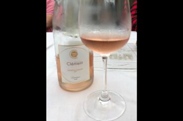 Vineyard Chat with Anne Clement of Domaine Chatenoy in Menetou-Salon in the Loire Valley, France