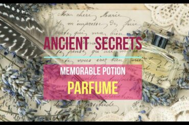 Memorable Potion Parfume 香水 2020