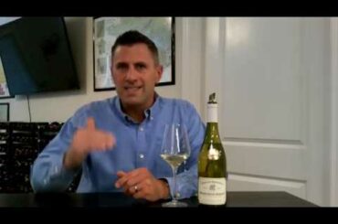 Bourgogne Aligote - Know Wine In No Time
