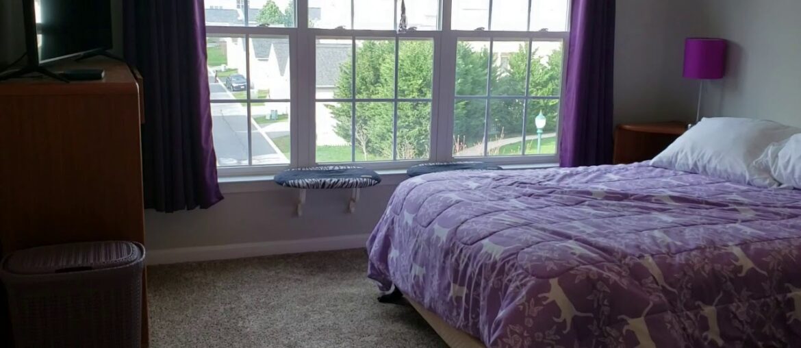 11771 Skylark Road, Clarksburg, MD 20871