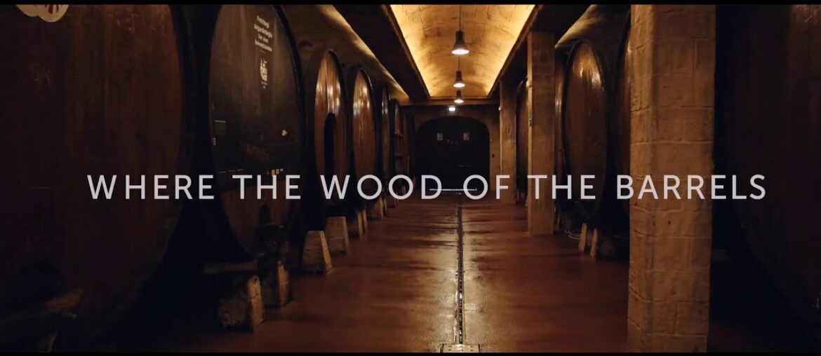 Wine cider Tours in Basque Country from San Sebastian