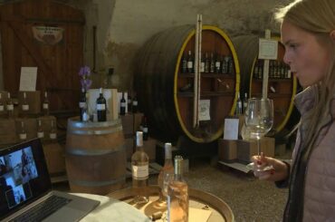 French wine growers launch 'video, drive-in wine-tasting' in bid to beat sales slump | AFP