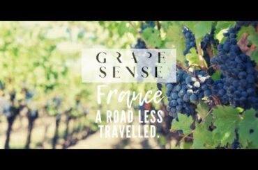 Grape Sense At Home: France - A Road Less Travelled #3