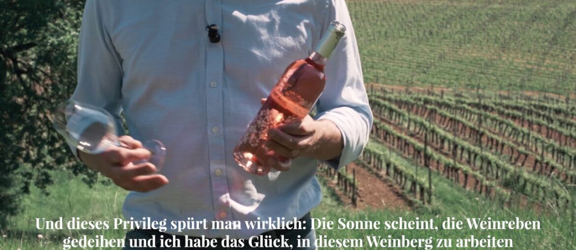 Wine tasting of La Fleur Saint-Michel, rosé