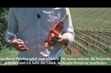 Wine tasting of La Fleur Saint-Michel, rosé