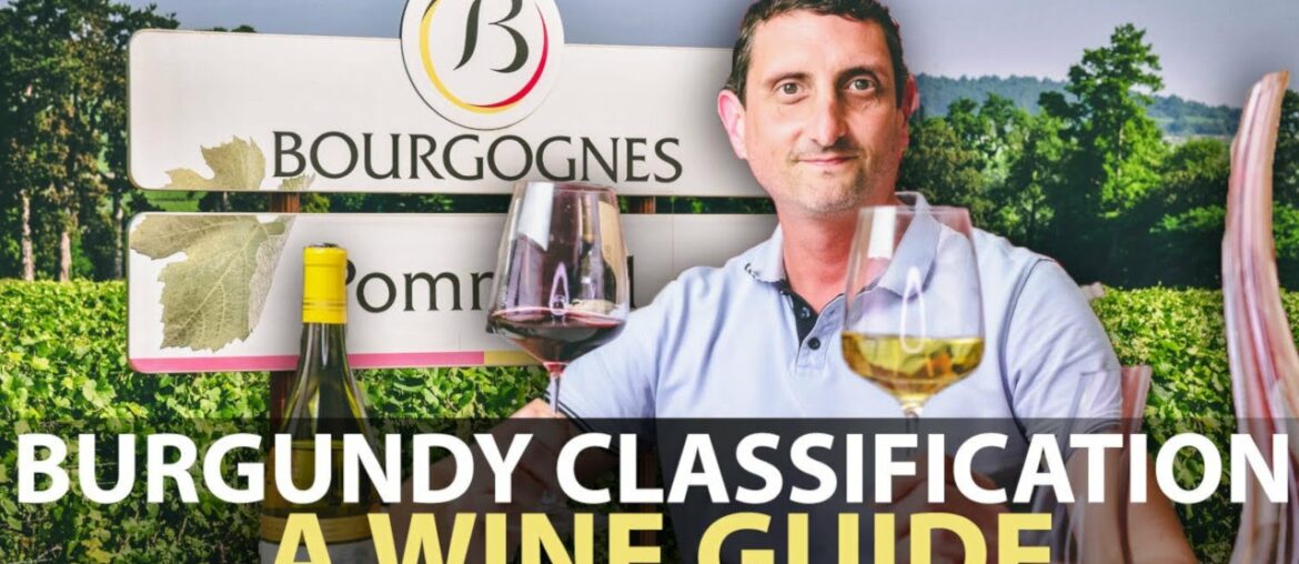 The Wine Classification System of Burgundy | Explained The Wine Classification System of Burgundy | Explained