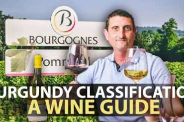 The Wine Classification System of Burgundy | Explained