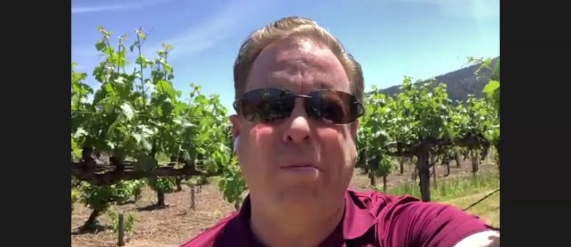 Throwback Cabernet from Canard Vineyard in Napa Valley Throwback Cabernet from Canard Vineyard in Napa Valley