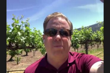 Throwback Cabernet from Canard Vineyard in Napa Valley