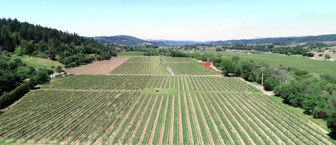 W Dry Creek Vineyard Parcel - Drone Video