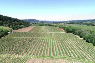 W Dry Creek Vineyard Parcel - Drone Video