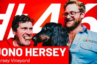 Wine For The People #46: Jono Hersey (Hersey Vineyard & The French Wine Centre)