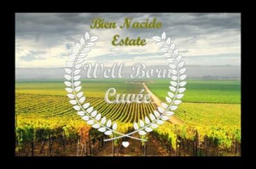 Well Born Cuvee ~ ENTRY LEVEL WINES that showcase PREMIUM WINE QUALITY