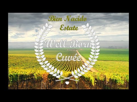 Well Born Cuvee ~ ENTRY LEVEL WINES that showcase PREMIUM WINE QUALITY Well Born Cuvee ~ ENTRY LEVEL WINES that showcase PREMIUM WINE QUALITY