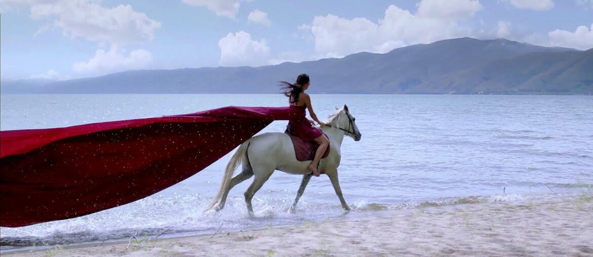 Top Wines You Must Try In Armenia | Armenia Wine Company | HD