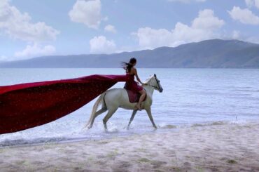 Top Wines You Must Try In Armenia | Armenia Wine Company | HD