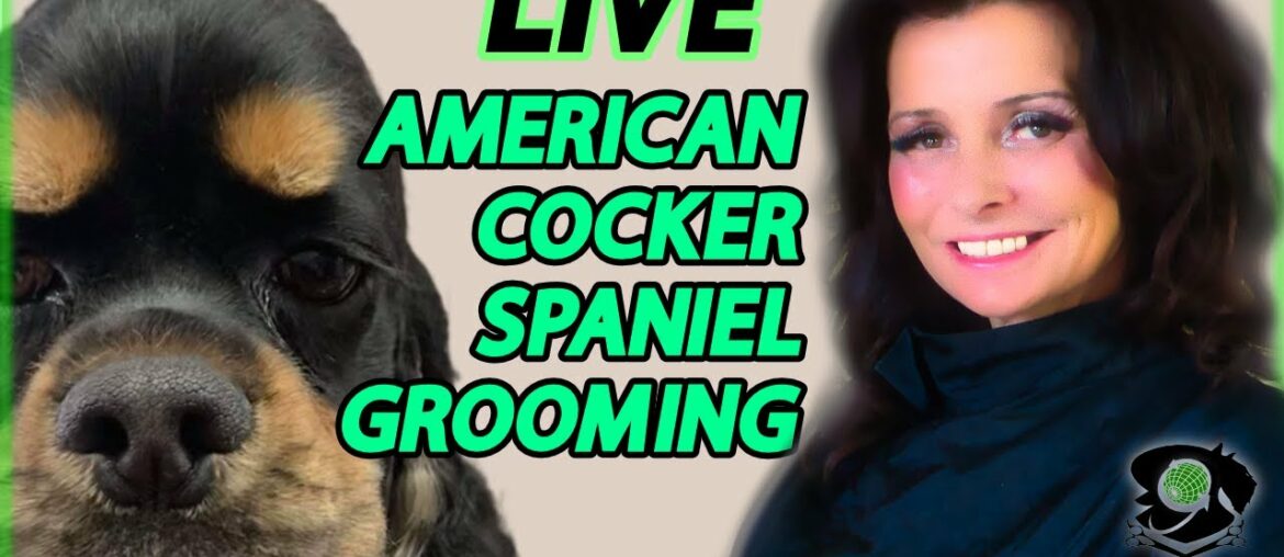 GGTV's Wine and Dine Stripping With Tony Robbins The Inspirational American Cocker Spaniel