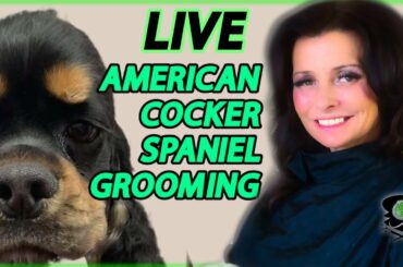 GGTV's Wine and Dine Stripping With Tony Robbins The Inspirational American Cocker Spaniel