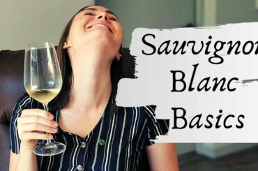 SAUVIGNON BLANC WINE: Basic introduction to the regions, characteristics and food pairings.